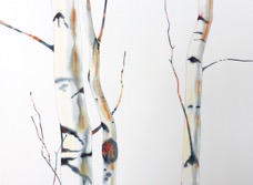 Attu Birches 22