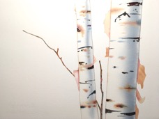 Ilse Briches 9