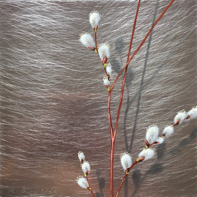 Wild Pussywillows 3,  8