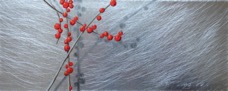 Ilex 5,  4