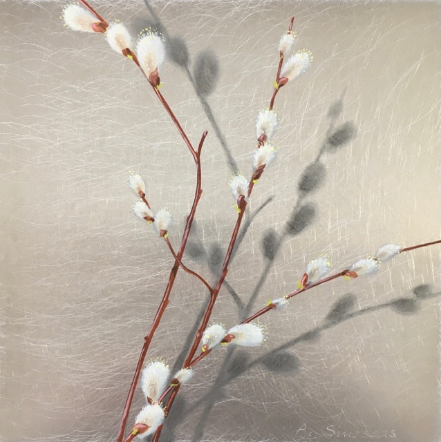 Pollen on Pussywillows  8