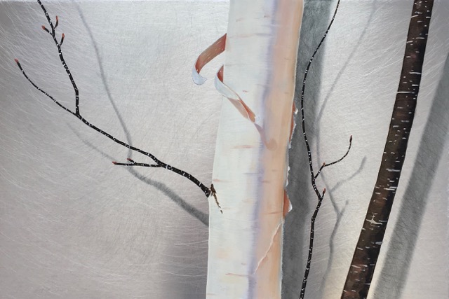 Wind Creek Birches 12